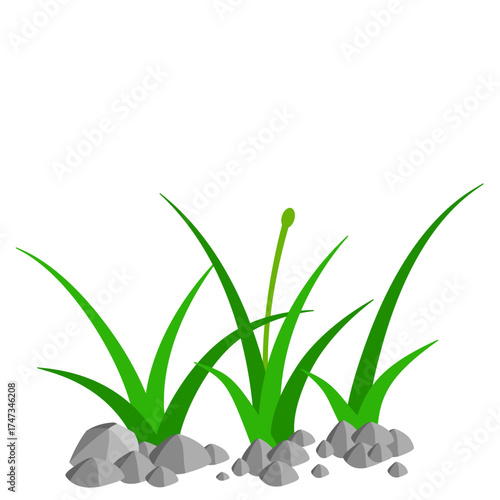Grass and Rock Graphics