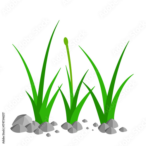 Grass and Rock Graphics