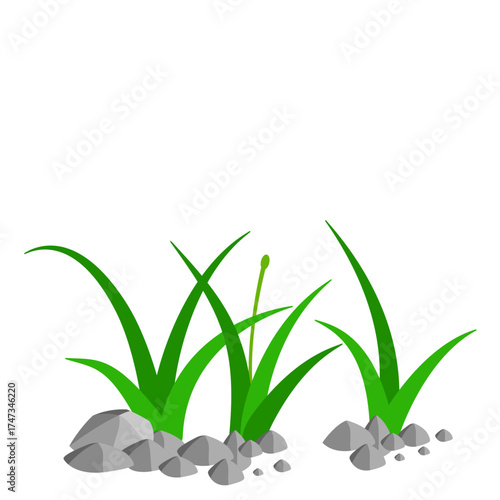 Grass and Rock Graphics
