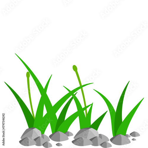 Grass and Rock Graphics