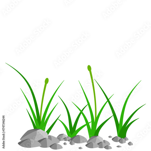 Grass and Rock Graphics