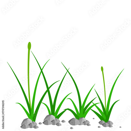 Grass and Rock Graphics