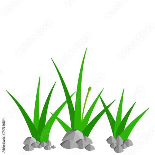 Grass and Rock Graphics