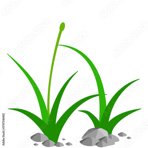 Grass and Rock Graphics