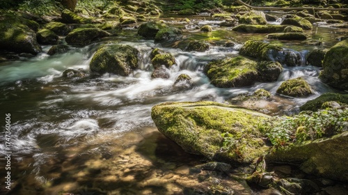 dappled. Forest stream water flowing around a mossy rock, creating whirlpools...