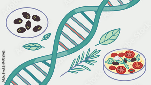 DNA strand with herbs and food illustration genetic modification healthy eating science nature vector graphic.
