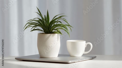 Wallpaper Mural Minimalist workspace with a potted plant beside a coffee cup on a laptop, emphasizing tranquility and productivity in a modern home office setting Torontodigital.ca