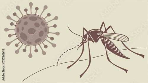 Stylized illustration of a mosquito and virus vector graphic medical science disease infection.