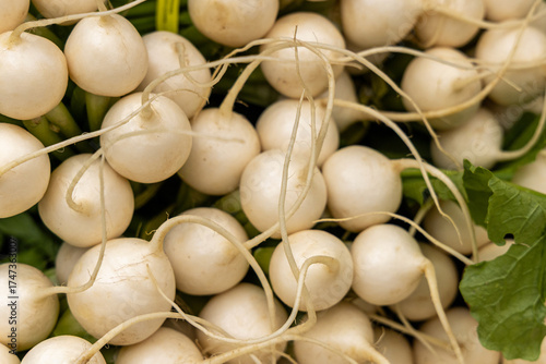 Japanese turnips for sale on display at the Union Square Farmers Market in New York City on Wednesday, Oct. 8, 2025. (Photo: Gordon Donovan)