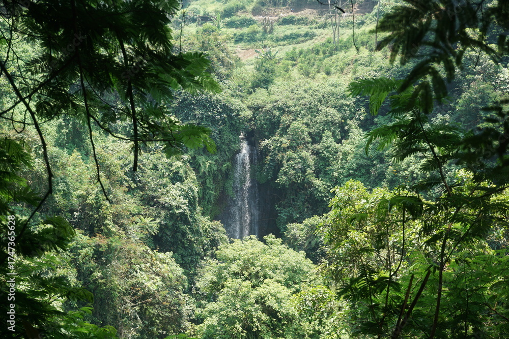 Fototapeta premium waterfall in the middle of the forest, visible from a distance among the dense trees, jungle in West Java 