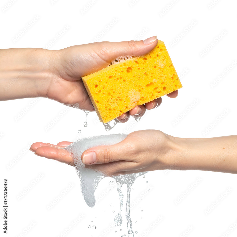 Fototapeta premium Two hands squeezing a yellow sponge, releasing soapy water, set against a black background