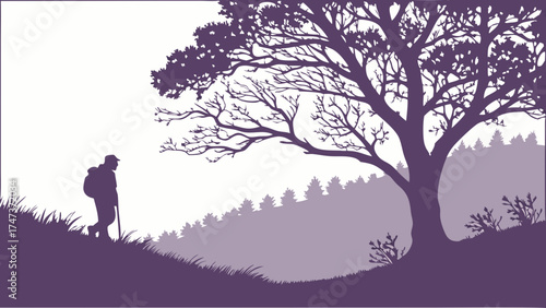 Silhouette of a hiker walking in a scenic landscape with a large tree and forest in the background.