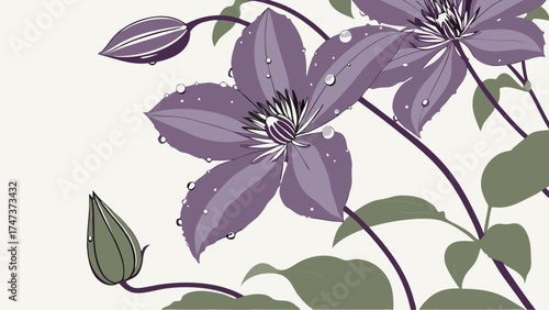 Purple Flowers with Dew Drops Botanical Illustration for Design and Print.