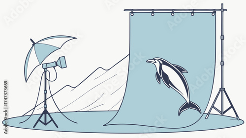 Studio Photography Setup with Marine Animal Lighting Equipment and Backdrop.