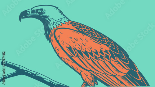 Stylized Illustration of a Bird of Prey Perched on a Branch Vector Graphic Wildlife Art Nature Illustration.