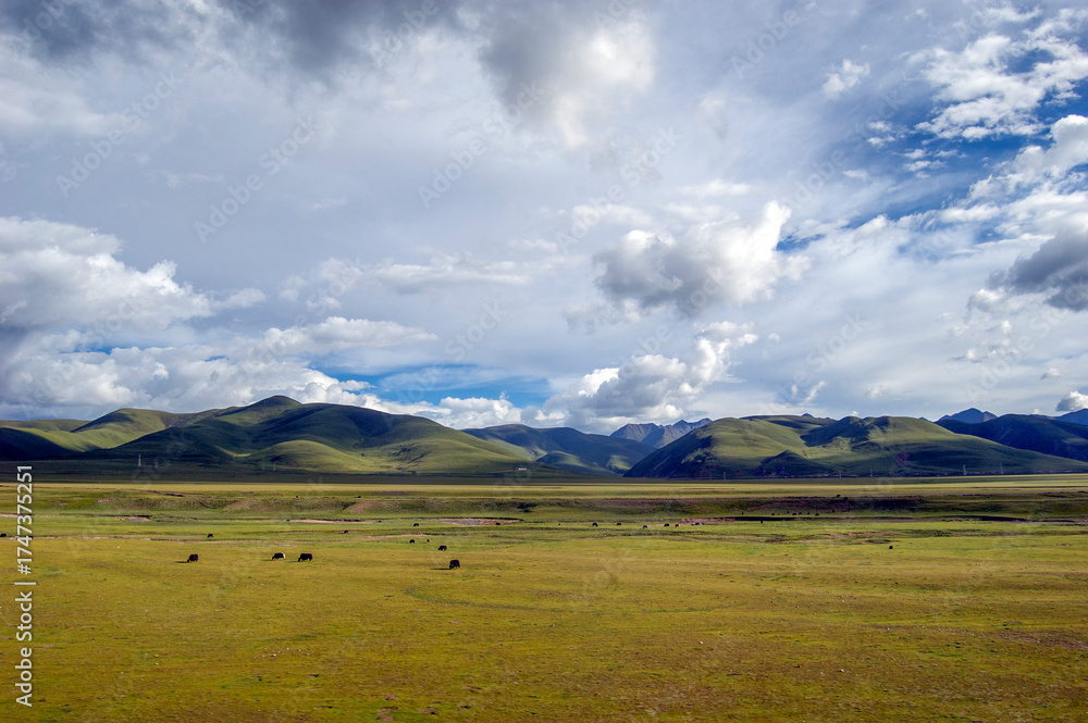 Fototapeta premium Vast grassland with mountains under a cloudy sky