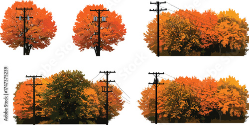 Autumn trees illustration, utility pole silhouettes, power line infrastructure, vibrant foliage, seasonal landscape, electricity grid, urban rural energy design