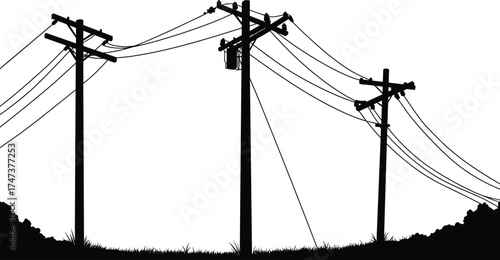 Utility poles, power lines, transformer, silhouette network, grassy terrain, shrubbery, electrical distribution, rural infrastructure, energy supply system