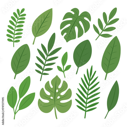 Collection of tropical green leaves in flat style. Assorted foliage for nature and summer-themed designs