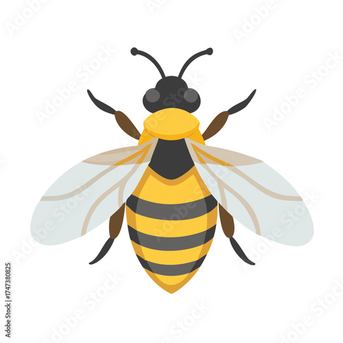 bee