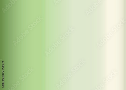 Soft Light Green White Vertical Gradient Vector Background