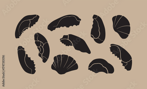 Collection of black silhouettes of various seashells on a neutral background