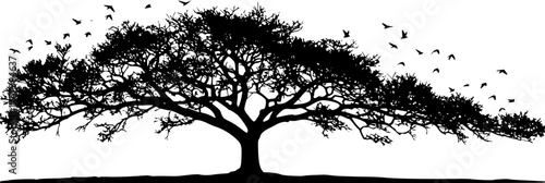 Tree and birds silhouette at sunset with golden sky for nature, environment and meditation concept