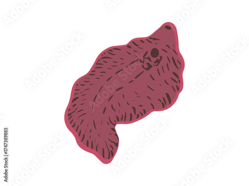 Liver Fluke Parasite
