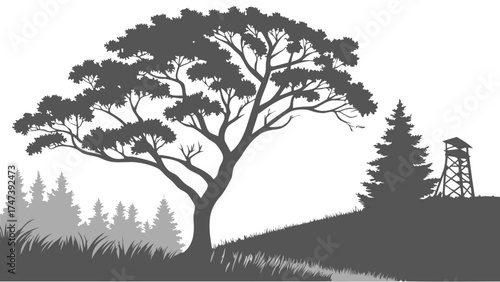 Silhouette of trees forest and observation tower on a hilltop.