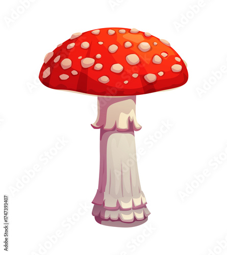 Cartoon fly agaric amanita muscaria mushroom. Autumn fall season poison fungi forest plant. Toxic toadstool with red hat and white spotted