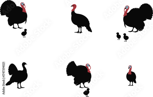 Turkey family silhouettes with chicks, wildlife bird illustration set, farm animal design, black turkey artwork, educational nature graphic, Thanksgiving concept