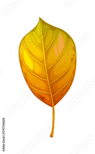 Cartoon alder buckthorn leaf in autumn season. Aspen fall leaves from forest tree branch. Yellow alnus october seasonal foliage