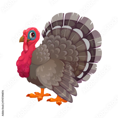 Cartoon plump turkey character Thanksgiving bird mascot. Cute grey poultry farm animal with eyes, beak, wings, wattle and large fanned tail. Thanksgiving holiday, greeting card, funny turkeycock