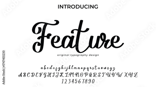 Feature - Elegant Script Font for Smooth Handwritten Design and Creative Typography