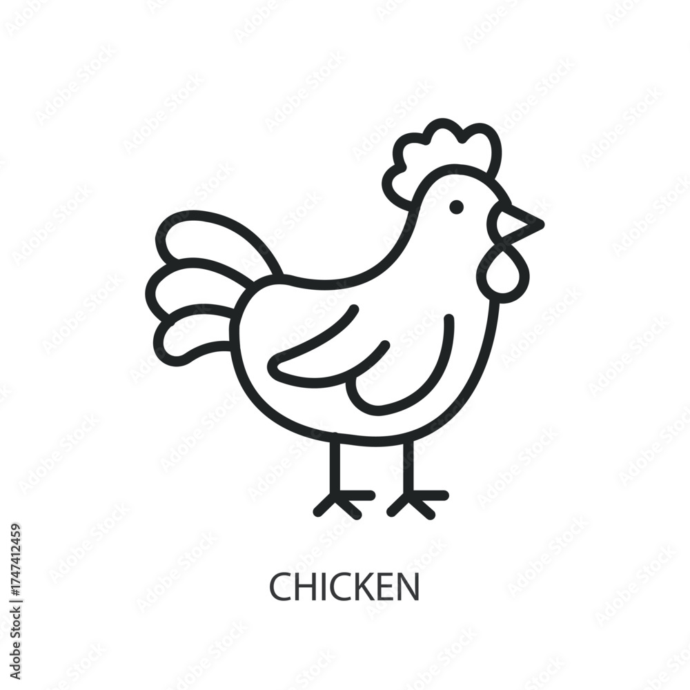 Obraz premium Chicken thin line vector icons.