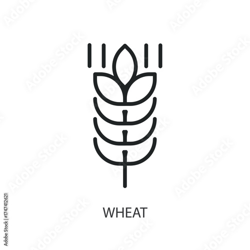 Wheat thin line vector icons.