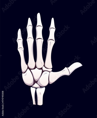 Halloween skeleton hand gesture, vector scary holiday. Cartoon white human skeleton hand with raised open palm and finger bones on dark background. High five or stop gesture, Halloween holiday banner