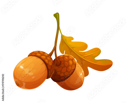 Cartoon oak acorns with autumn season branch. Forest food with cap, tail and orange brown leaves for squirrel. Seasonal fall acorns for child craft