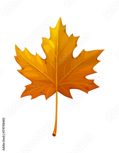 Cartoon maple leaf in autumn season. Orange fall maple tree bough leaves. Lobed shape leaf for Thanksgiving seasonal holiday