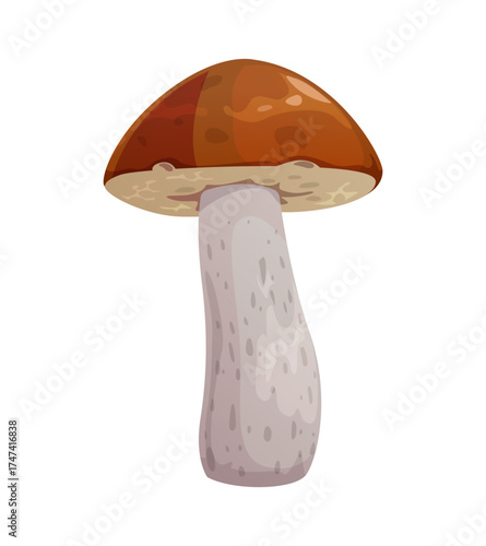 Cartoon boletus mushroom autumn icon. Fall forest edible fungi with brown cap and white leg. Bolete fungus family harvest