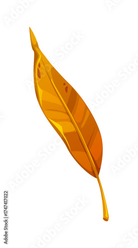 Cartoon willow autumn leaf in fall season. Orange and yellow weeping osier leaves. Narrow and long salix foliage with veins