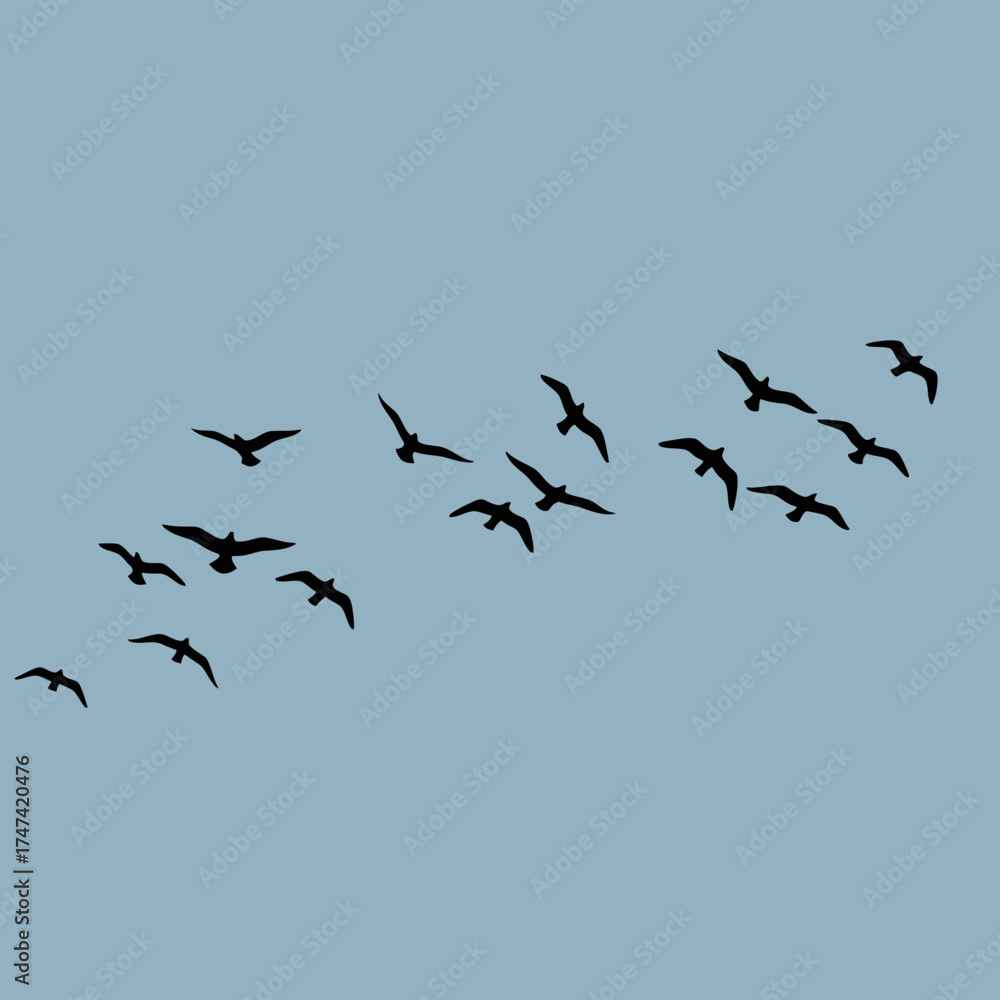 Fototapeta premium Silhouette of Flying Birds in Clear Blue Sky