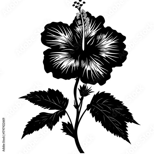 Black and White Silhouette Hibiscus Flower with Leaves