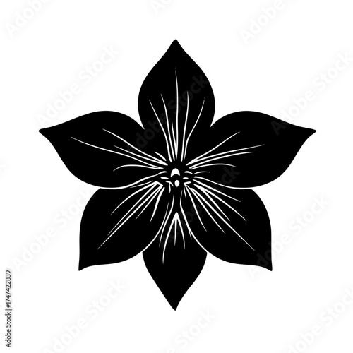 Stylized Black and White Floral Illustration with Skull Center