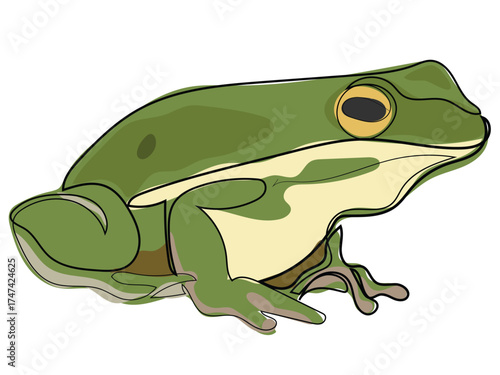 Frog in continuous line drawing