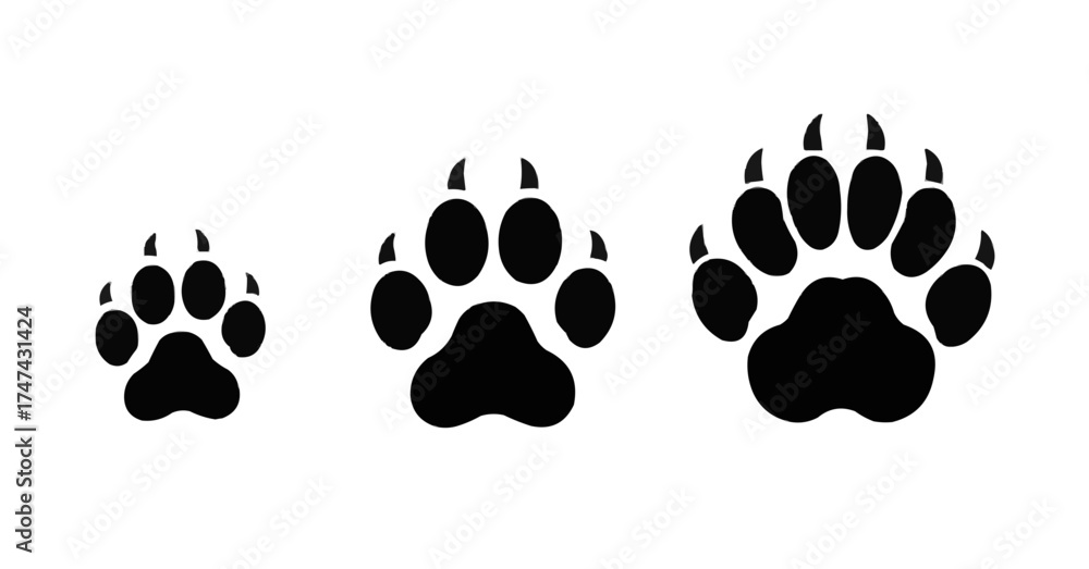 Fototapeta premium Three paw prints in different sizes, perfect for animal or pet illustrations