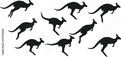 Silhouette of kangaroo jumping and running in motion, wildlife animal illustration, Australian nature concept, wild marsupial movement design art