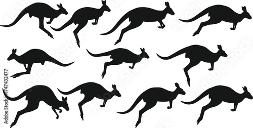 Silhouette of kangaroo jumping and running in various poses, Australian wildlife animal illustration, marsupial motion art, wild nature concept