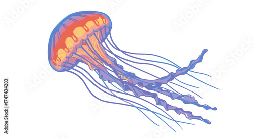 Vibrant jellyfish illustration floating isolated on white background