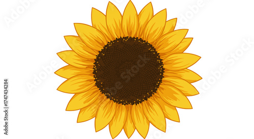 Vibrant sunflower illustration with yellow petals and brown center